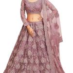 Women's Semi Stitched Net Lehenga Choli with Embroidered Pattern